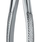 Lower Incisors and Canines 4