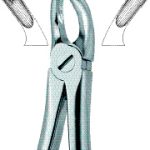 Molars,Right 17