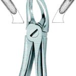 Molars,Left 18