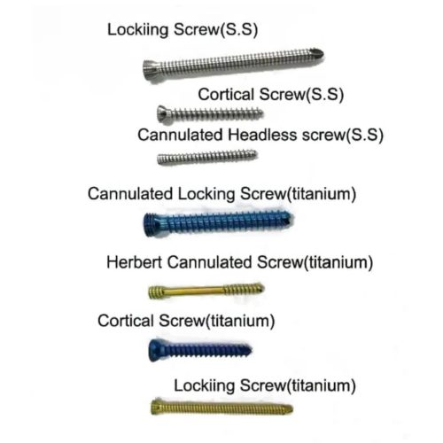 Screw